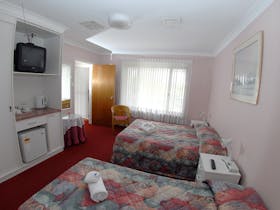 Double and single bed with tea coffee making facilities
