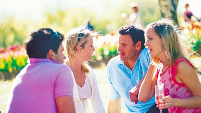 Friends having a picnic in the park