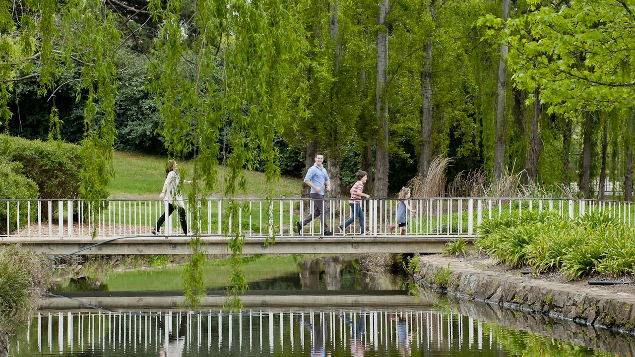 Willows weep over the bridge