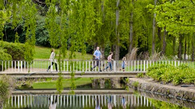 Crossing a bridge with weeping willows
