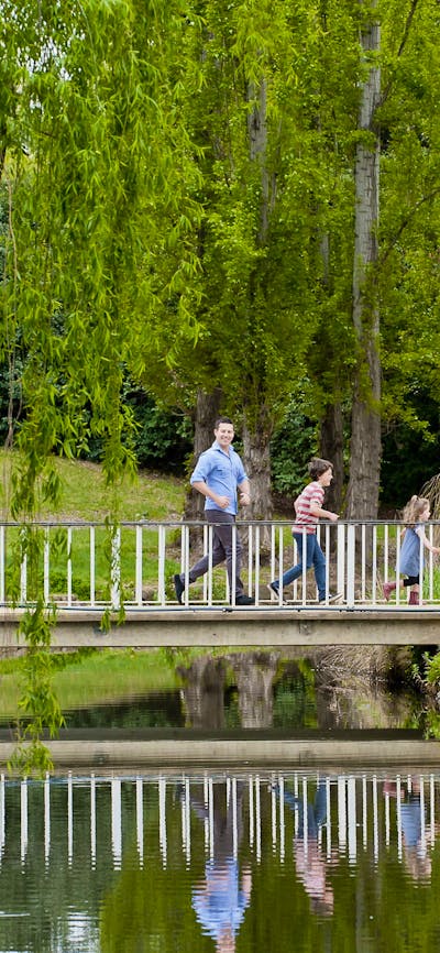 Crossing a bridge with weeping willows