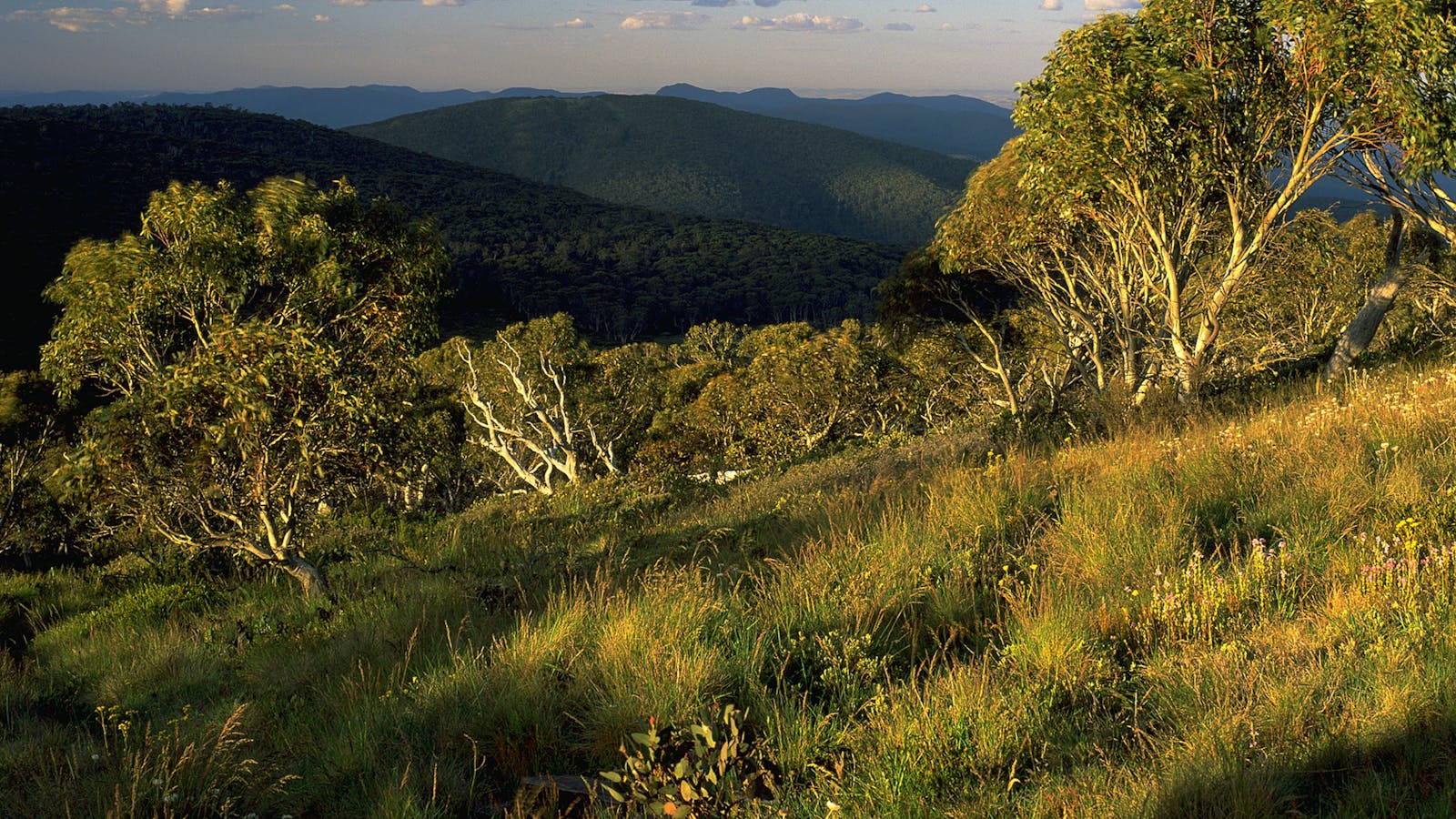 Namadgi National Park and Visitors Centre