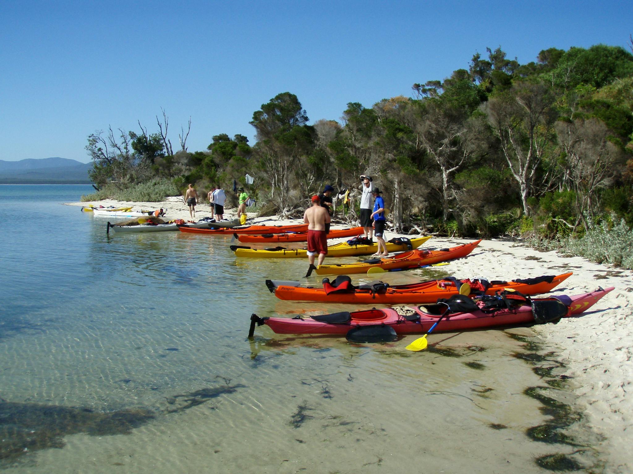 Day trip to Bennison Island on a Corner Inlet Wilsons Promontory Sea Kayak Tour