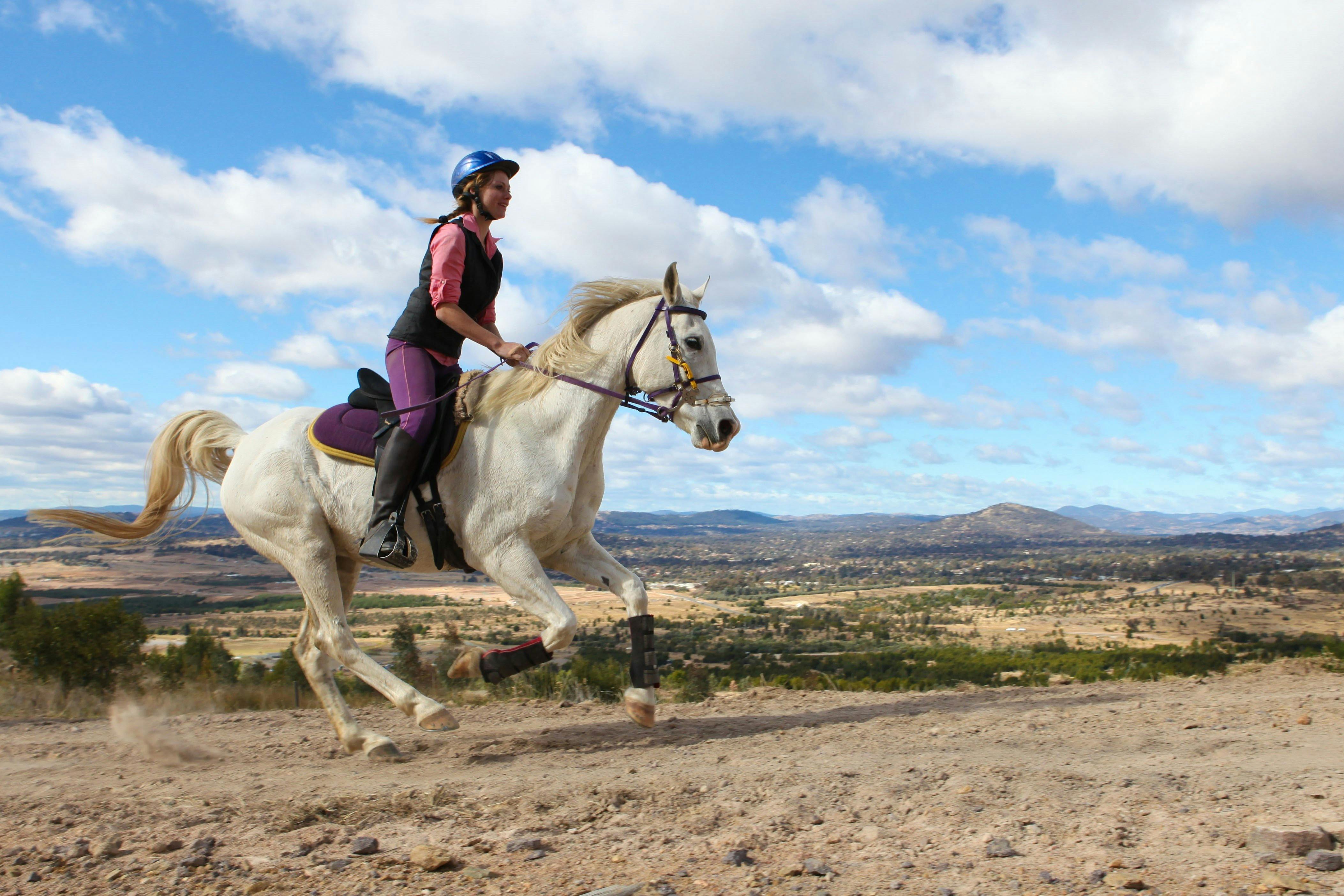 Horse and rider at Stromlo Forest Park