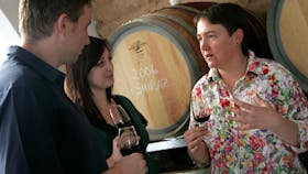 Learning about the wine