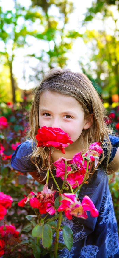 Young girl smelling roses. Photo by Jinkyart