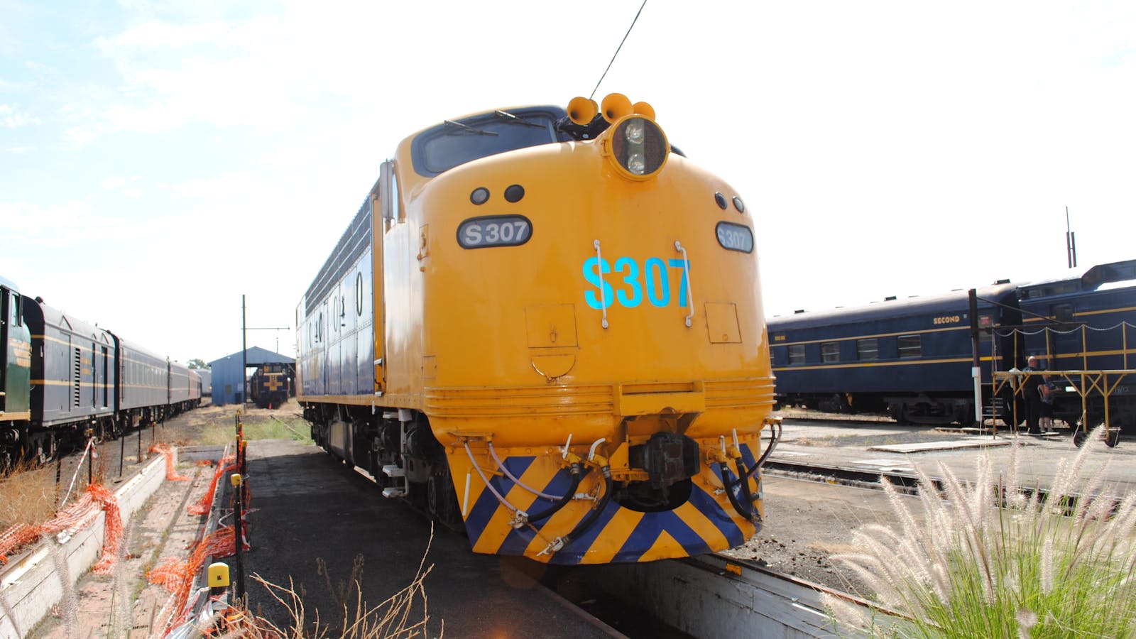 Train Fuction