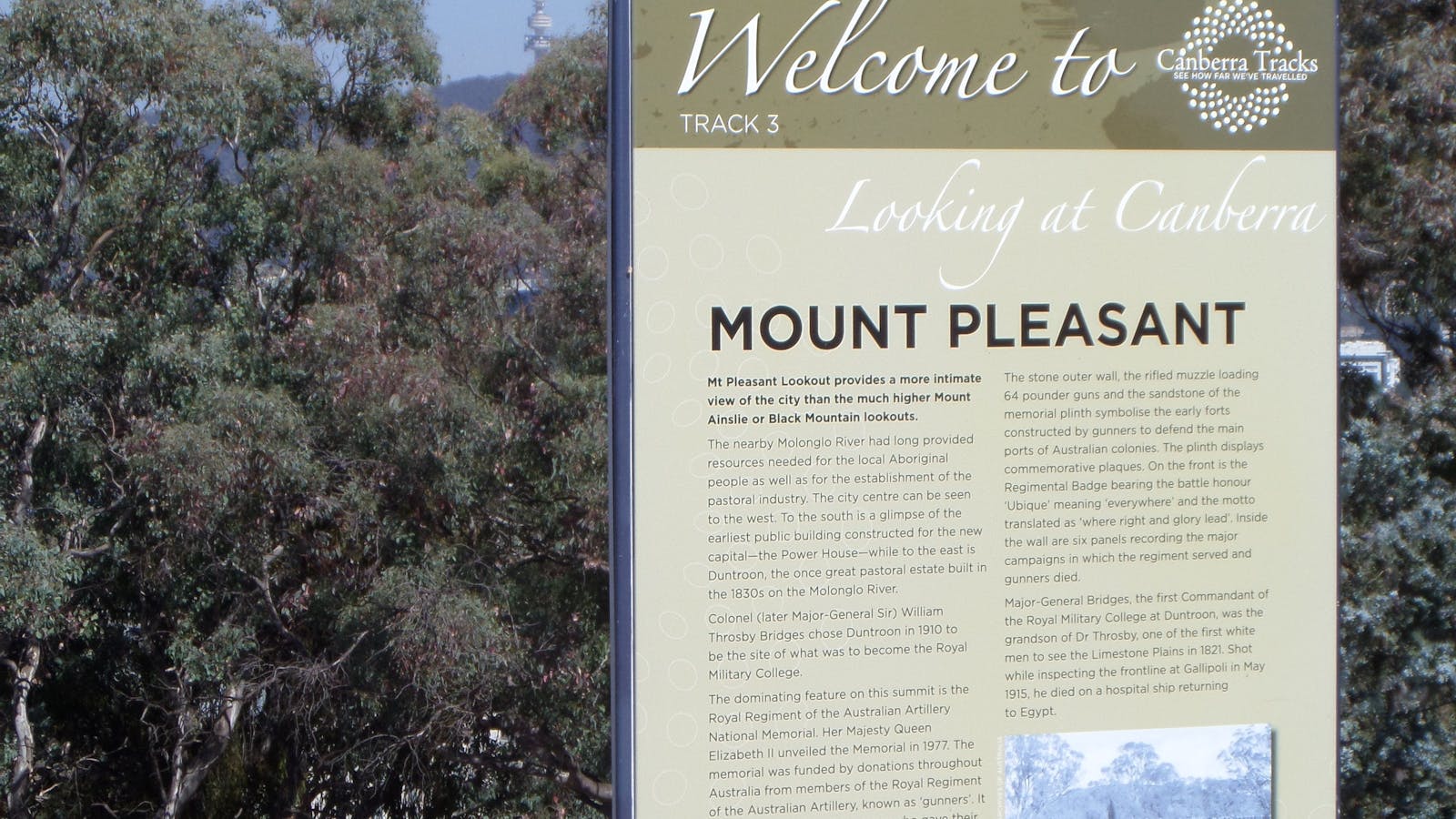 Mount Pleasant Lookout