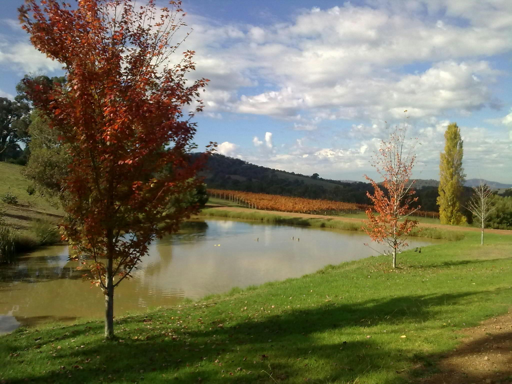 Sutherland Estate front dam