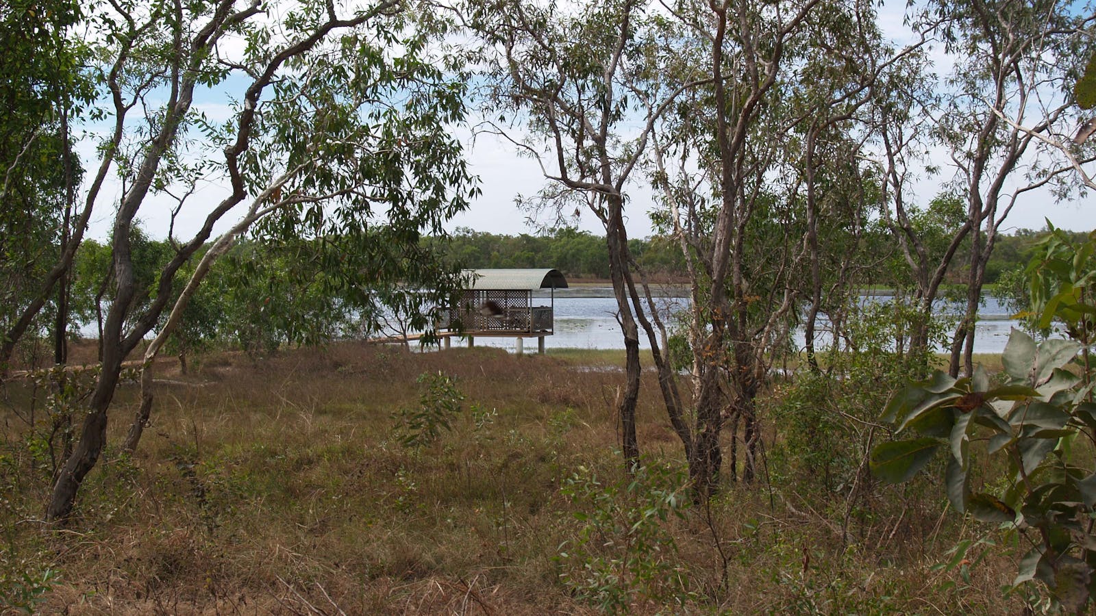 Bird Billabong