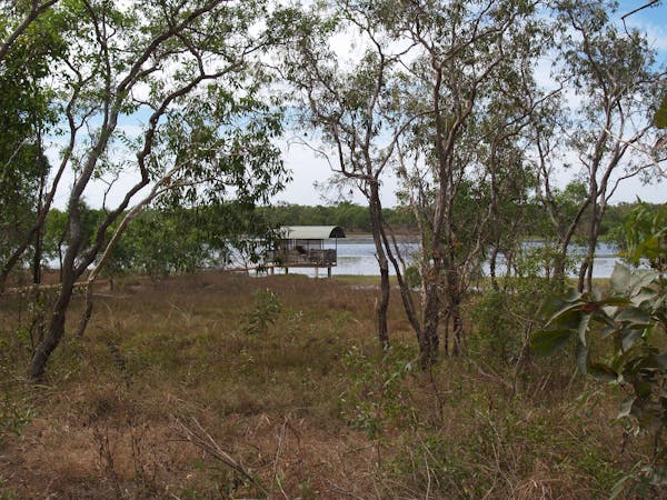 Bird Billabong