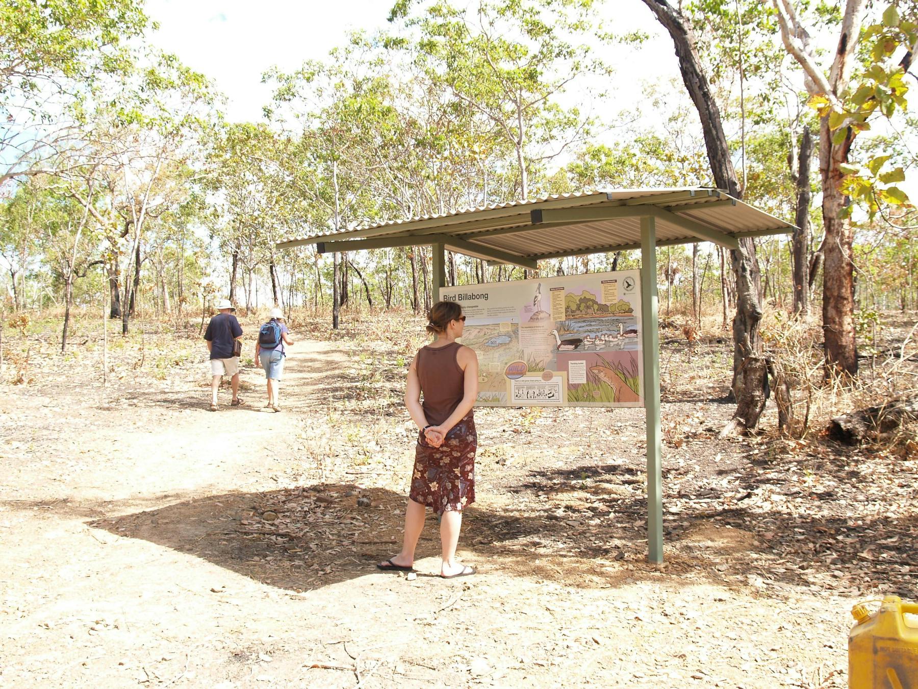 Bird Billabong, Mary River area, Northern Territory, Australia