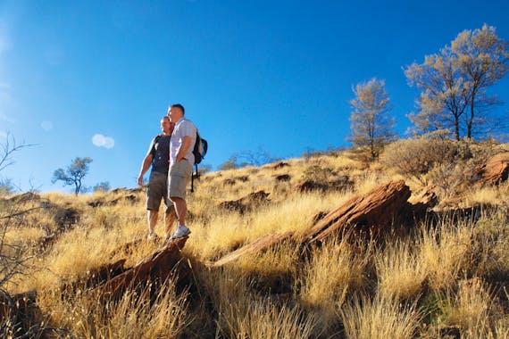 ロッキーバーギャップ