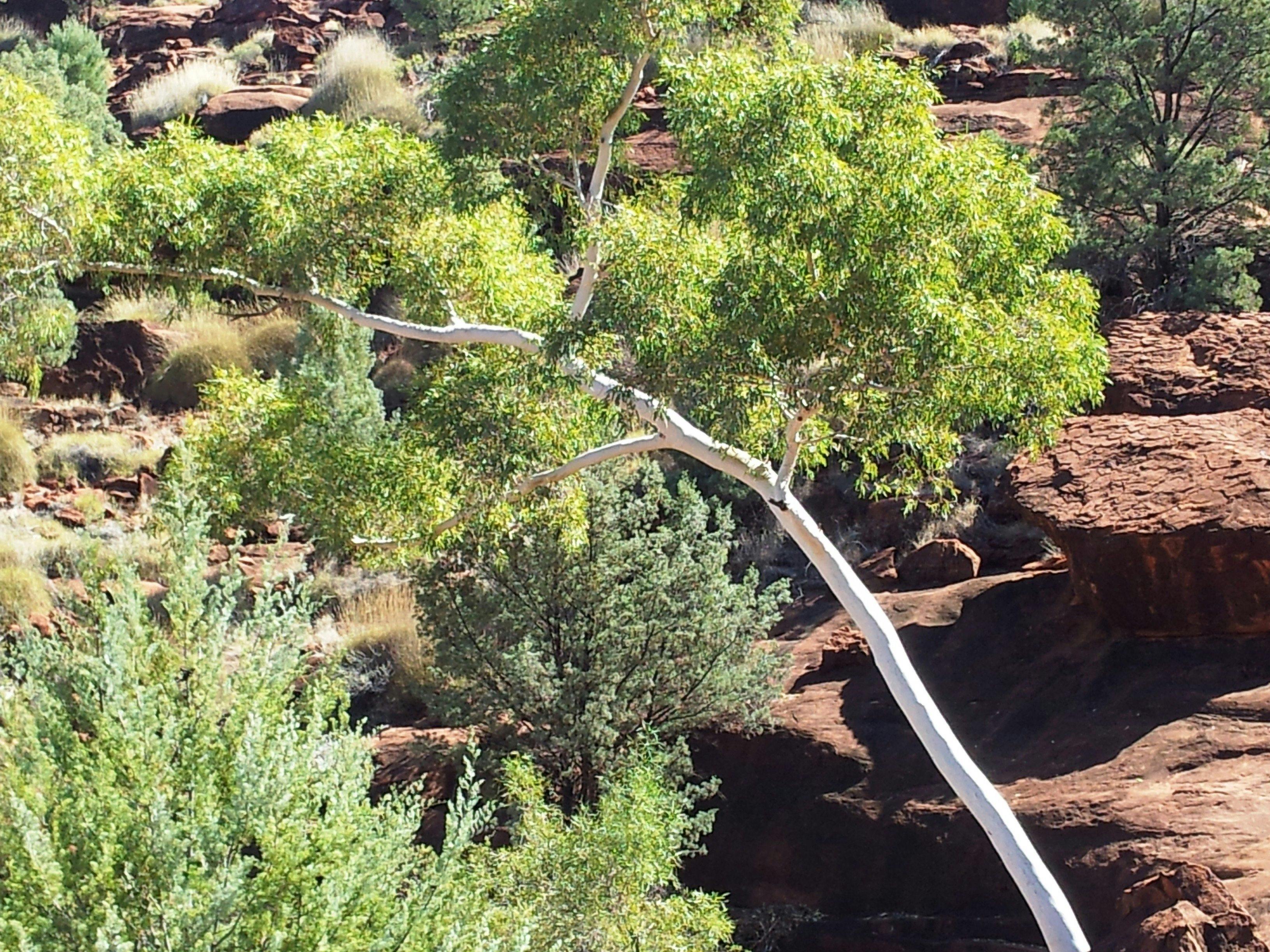 Gulf Savannah Way Tours Darwin to Cairns and Reverse