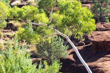 Gulf Savannah Way Tours Darwin to Cairns and Reverse