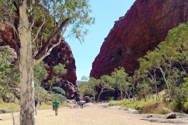Spirit Safaris from Northern Territory