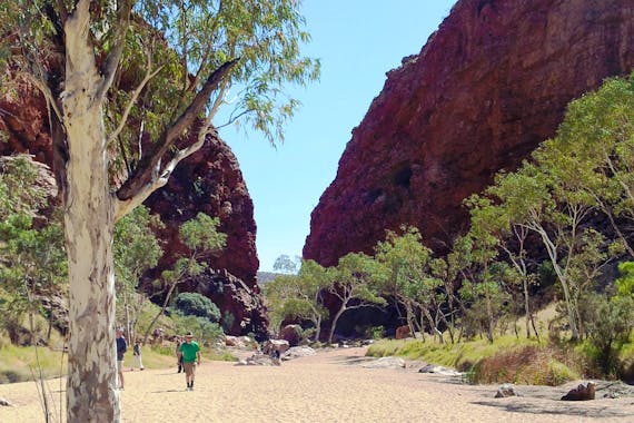 Spirit Safaris from Northern Territory