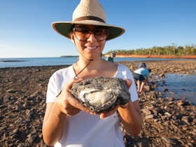 Collecting oysters - Cobourg Peninsula