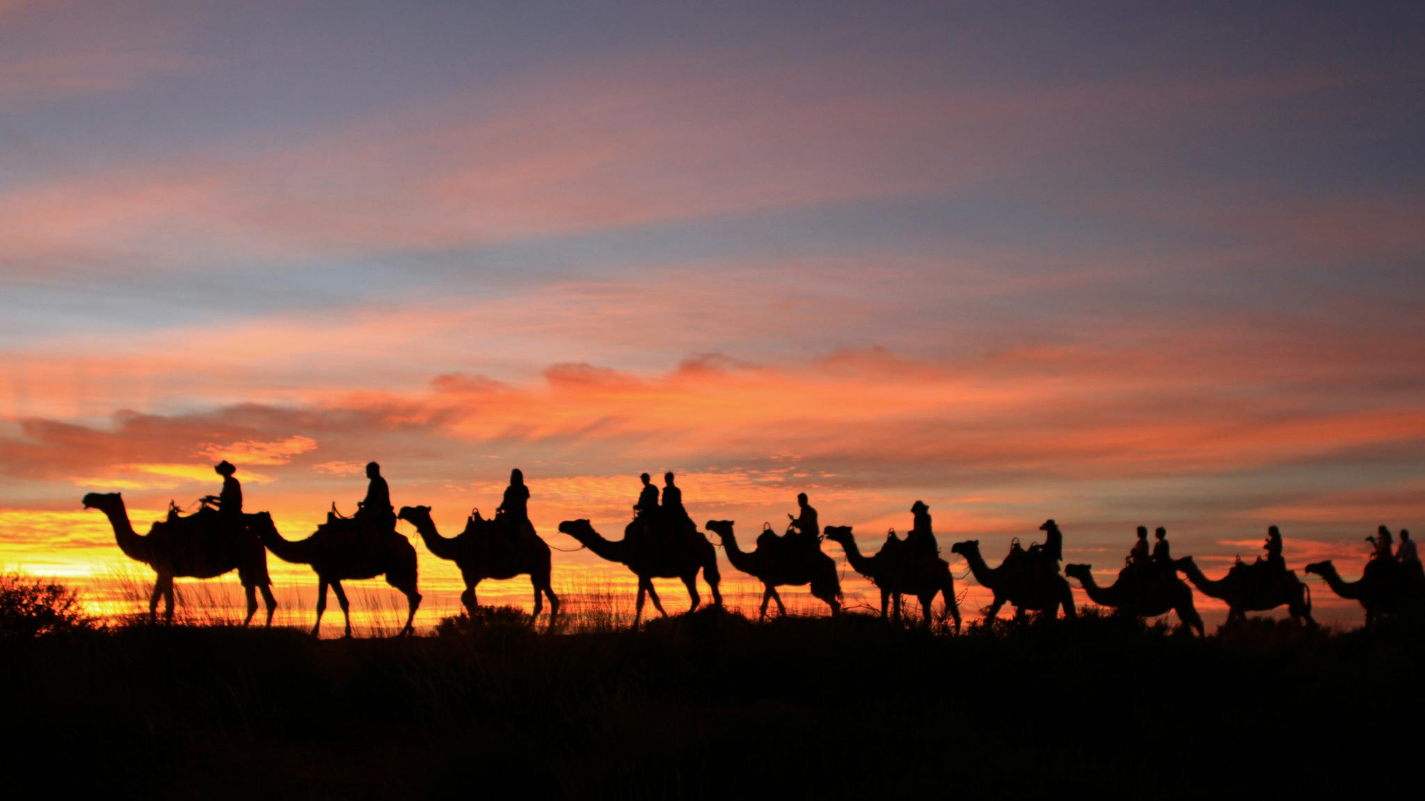 Uluru Camel Tours