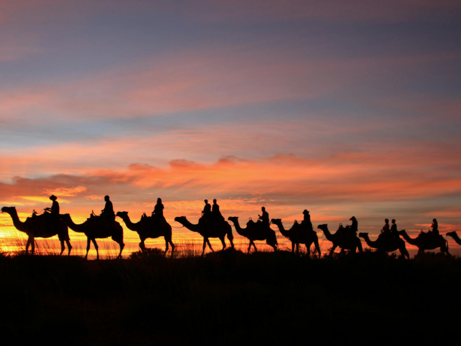 Uluru Camel Tours