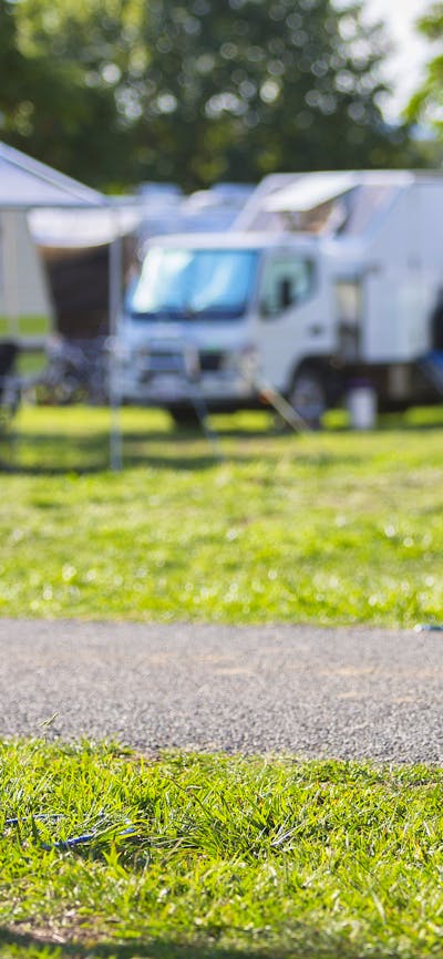 Dog sitting among campervans