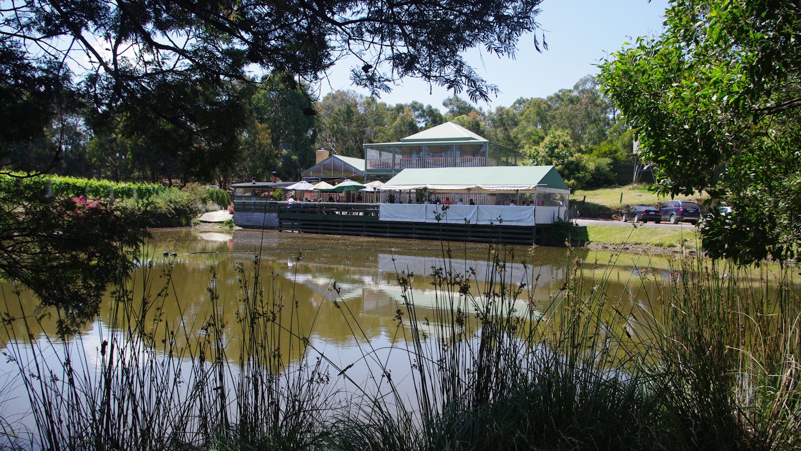 Gisborne Peak Winery & Cottages