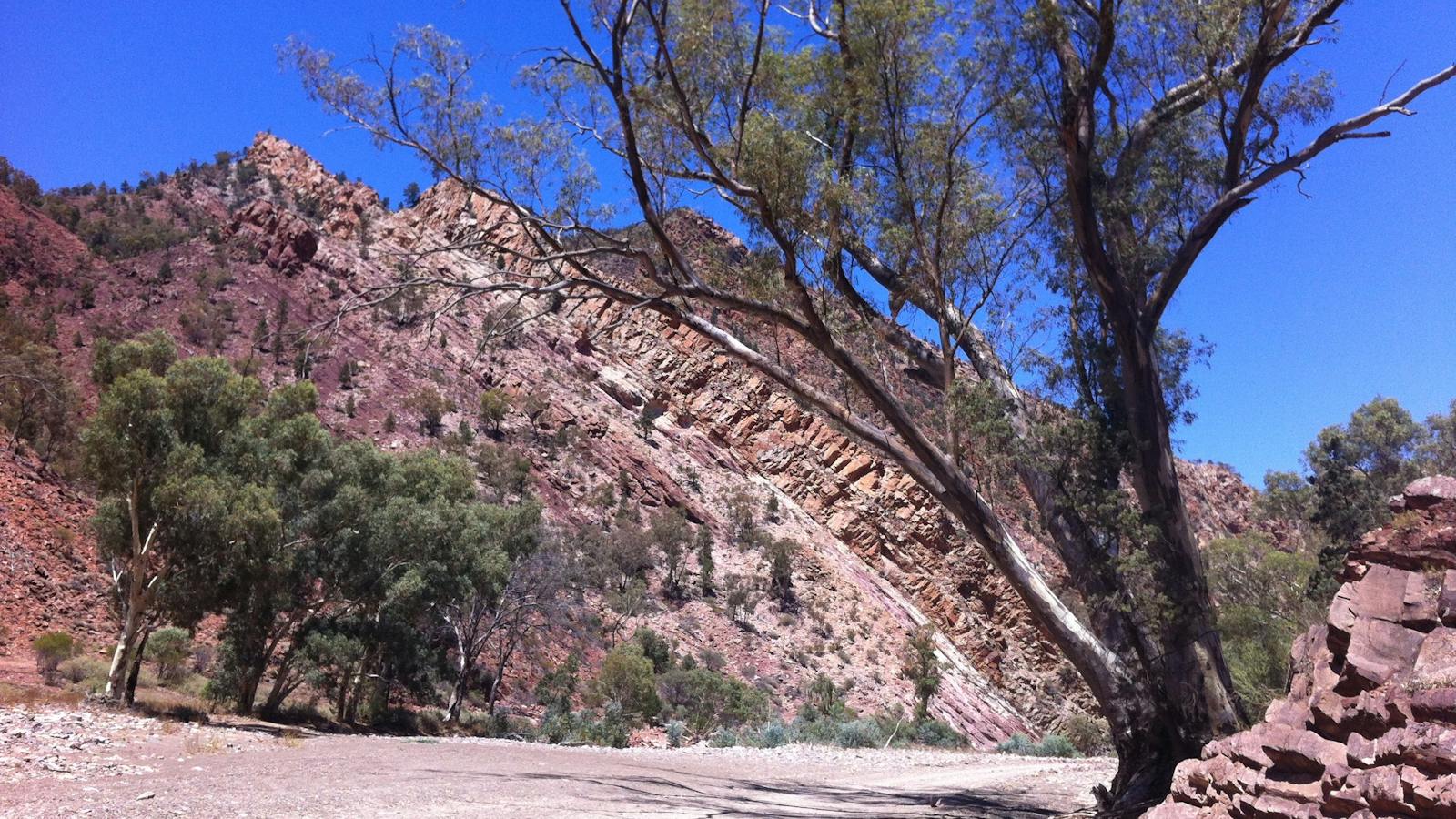 Brachina Gorge