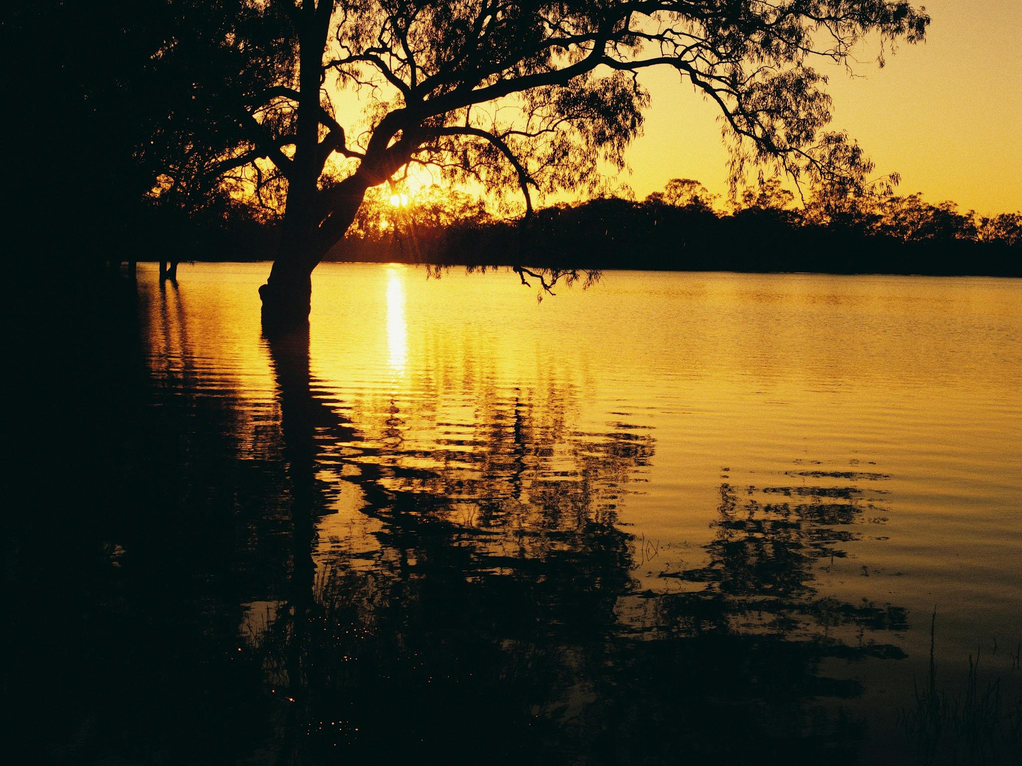 Hattah-Kulkyne National Park