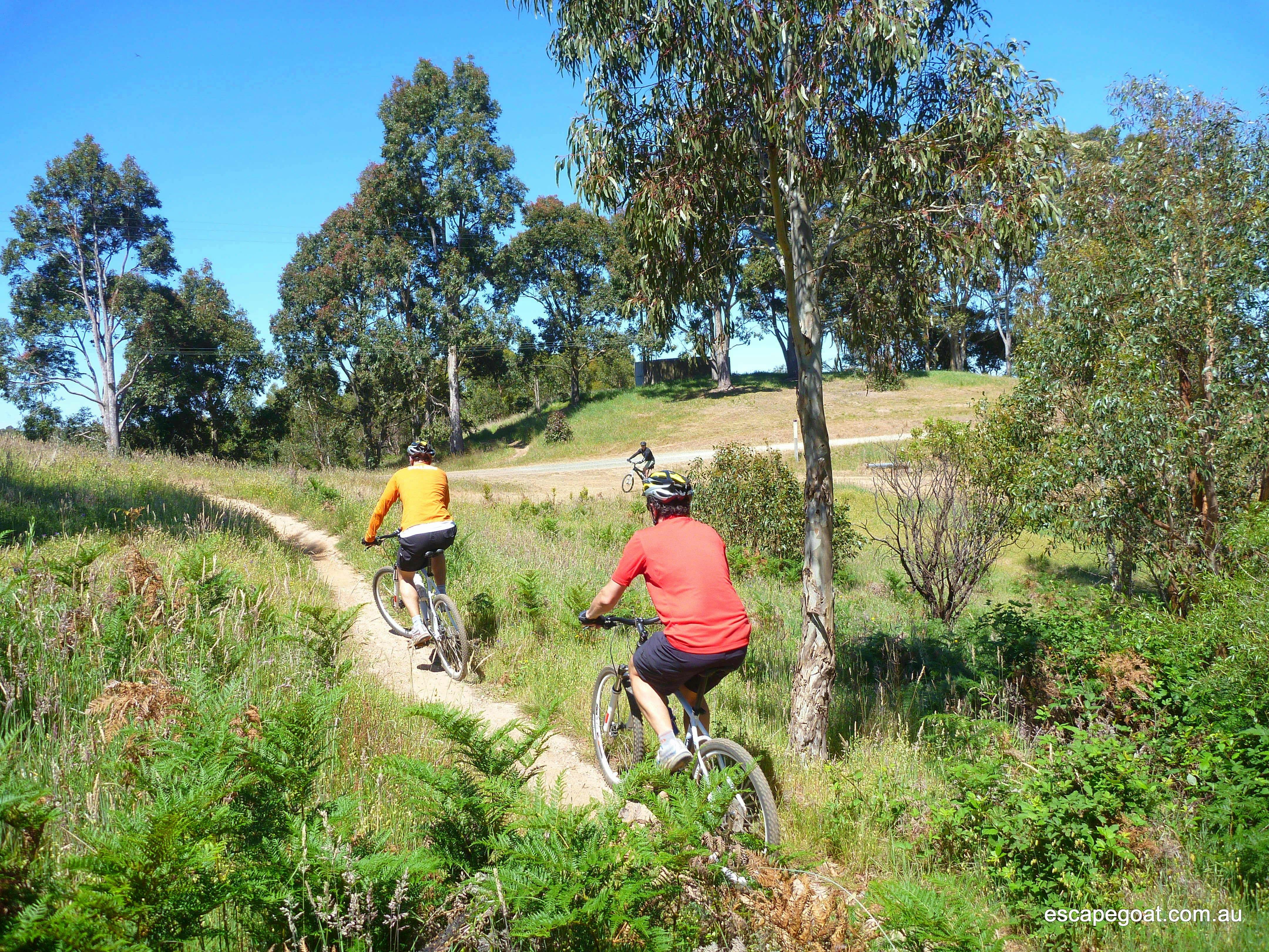 Adelaide Hills by Mountain Bike- Private Guiding