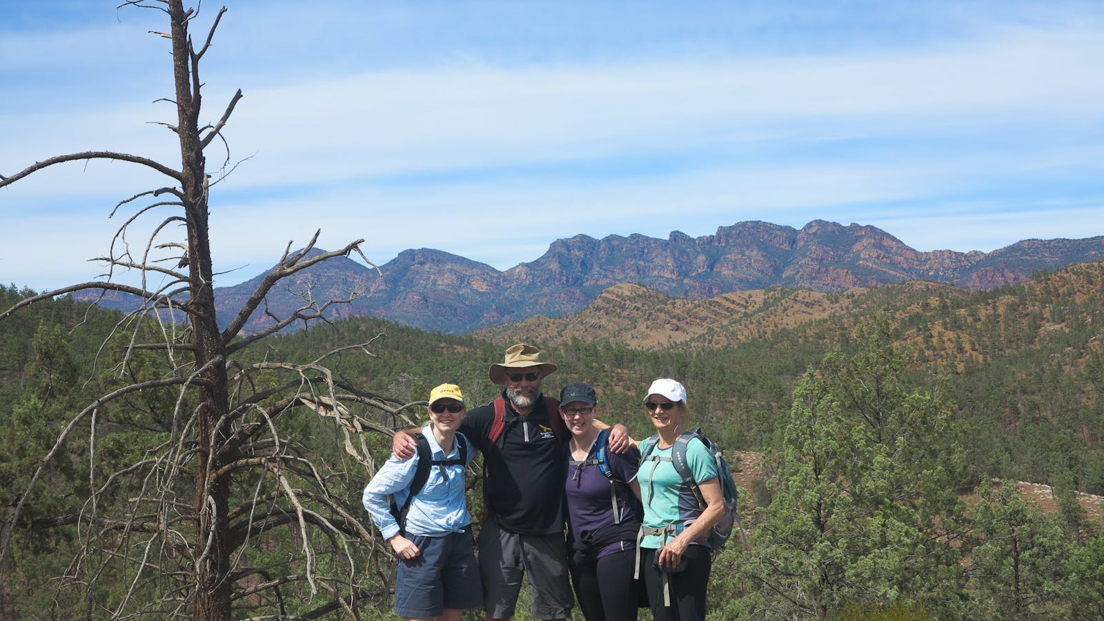On the Wilcolo track