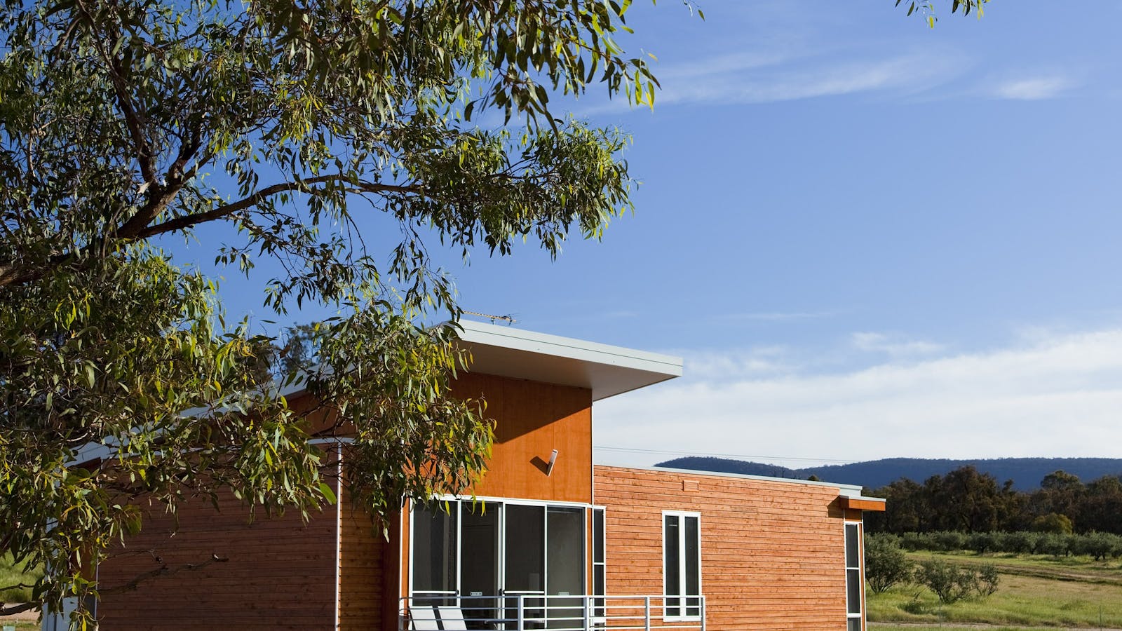 Mount Avoca
