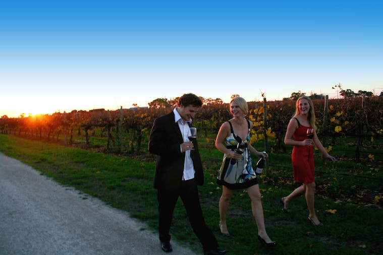 Coonawarra Discovery