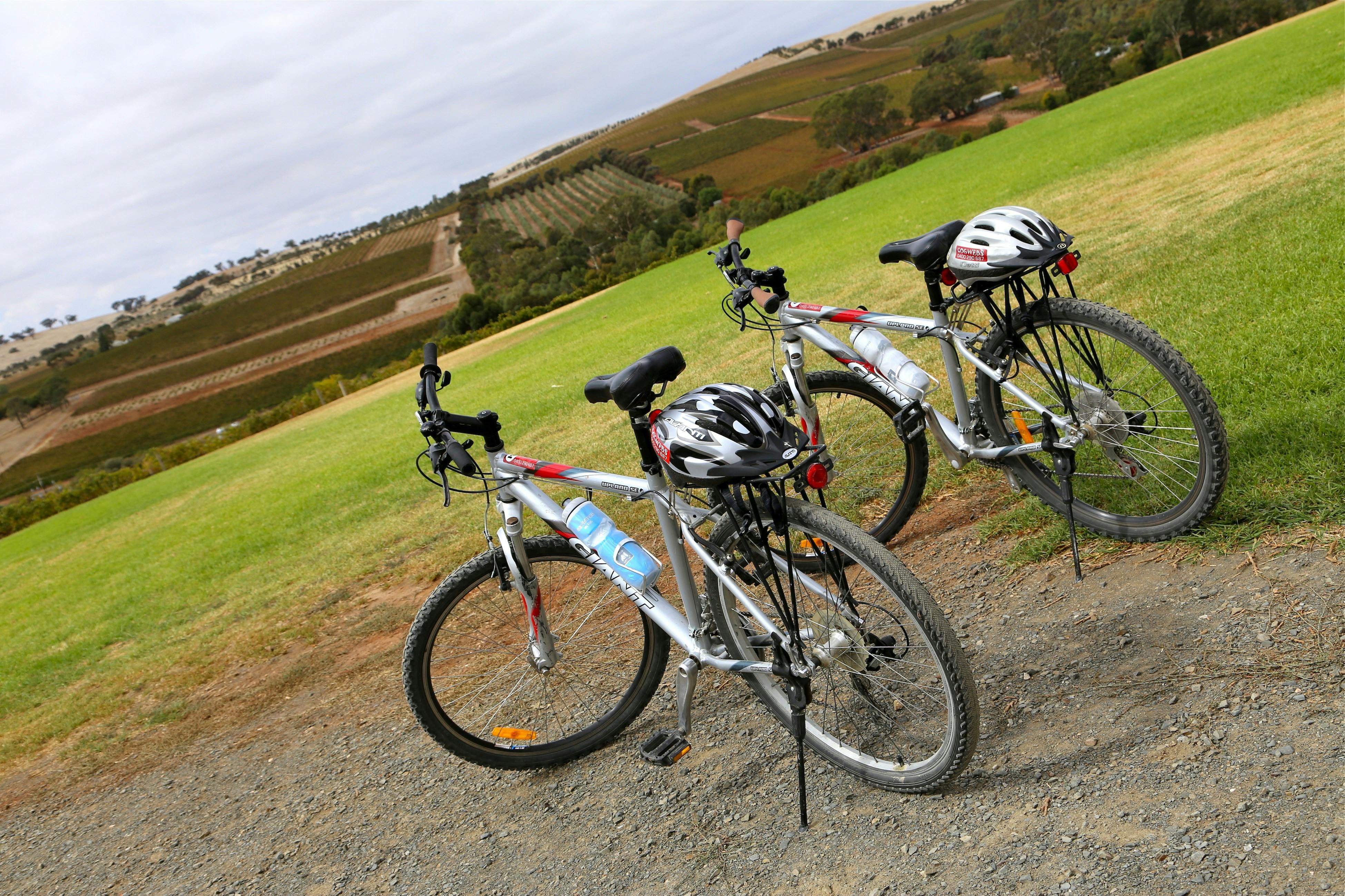 Bikes, views and great food and wine