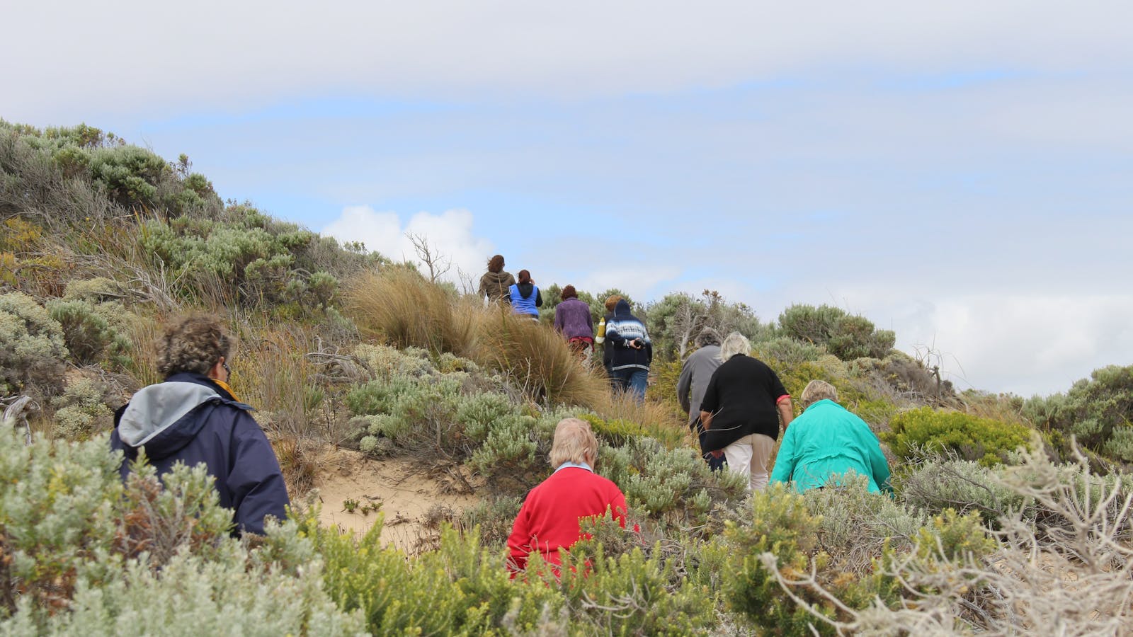 The Seaview Walking Trail
