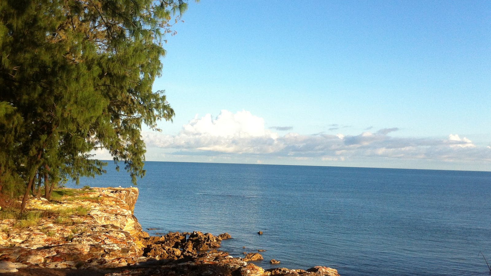 Casuarina Coastal Reserve