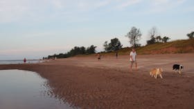 Casuarina Coastal Reserve