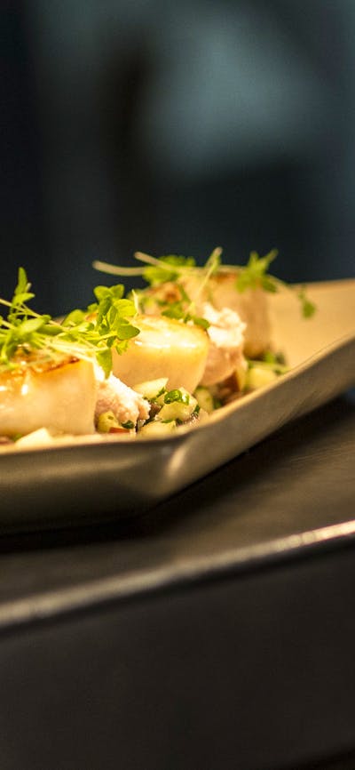 Seared scallop entree
