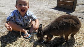 Animal Farm Goolwa
