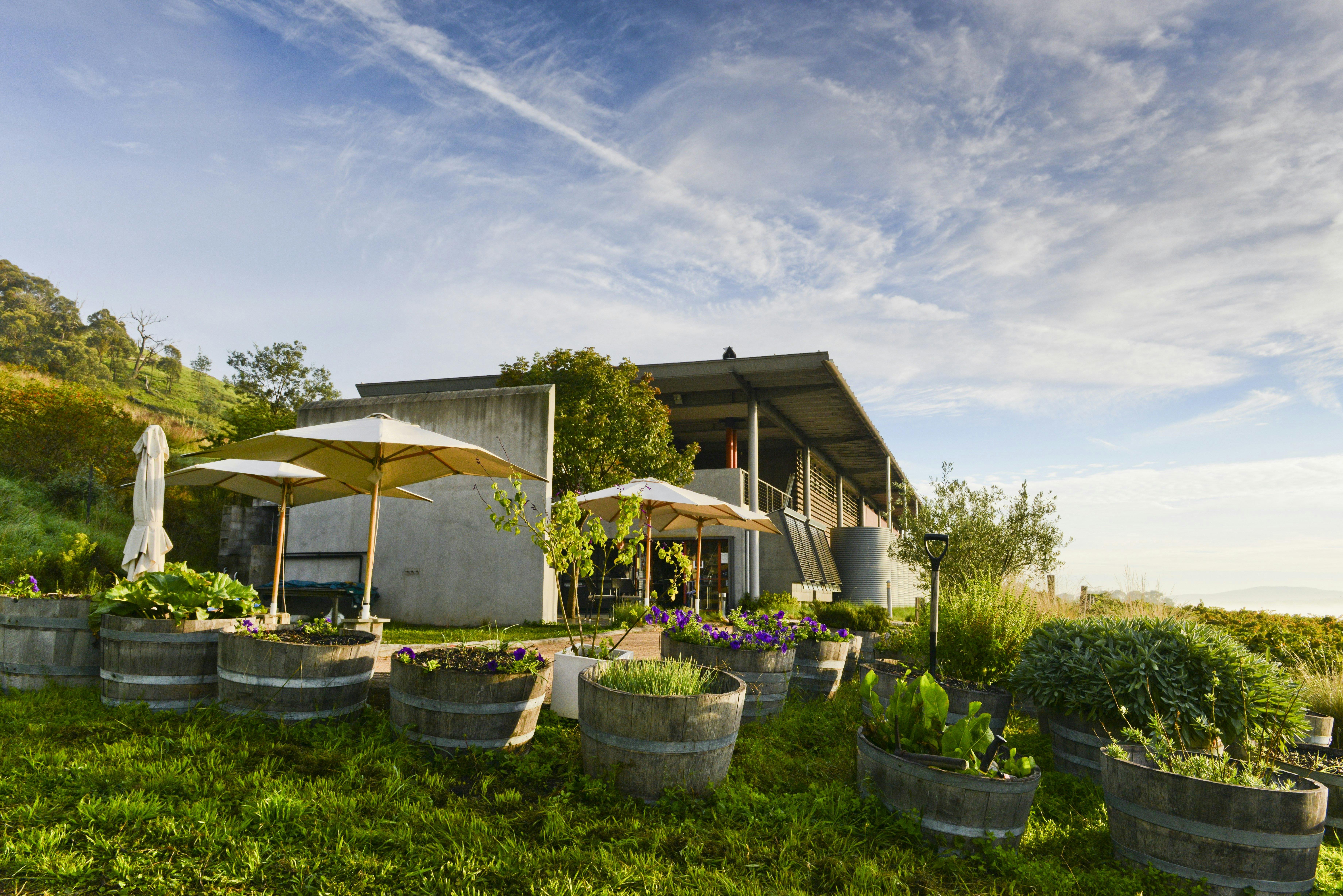 looking up to the courtyard and cellar door from the herb garden