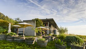 looking up to the courtyard and cellar door from the herb garden
