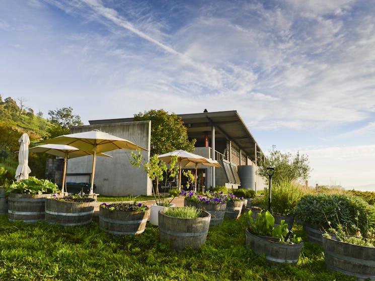 looking up to the courtyard and cellar door from the herb garden