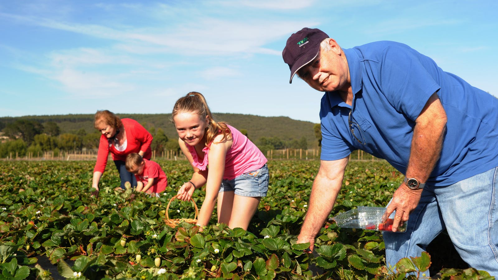 Mount Compass Produce and Tourist Trail