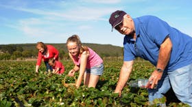 Mount Compass Produce and Tourist Trail