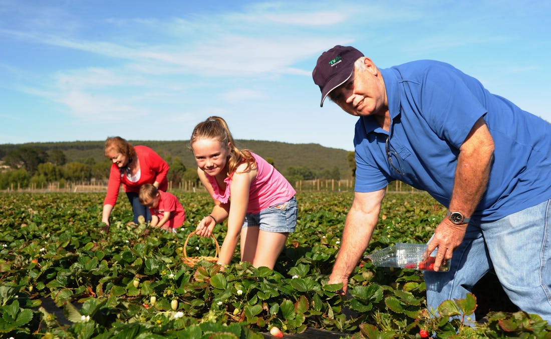 Mount Compass Produce and Tourist Trail Mount Compass, Attracti...