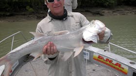 Darwin's North Australia Barra Fishing