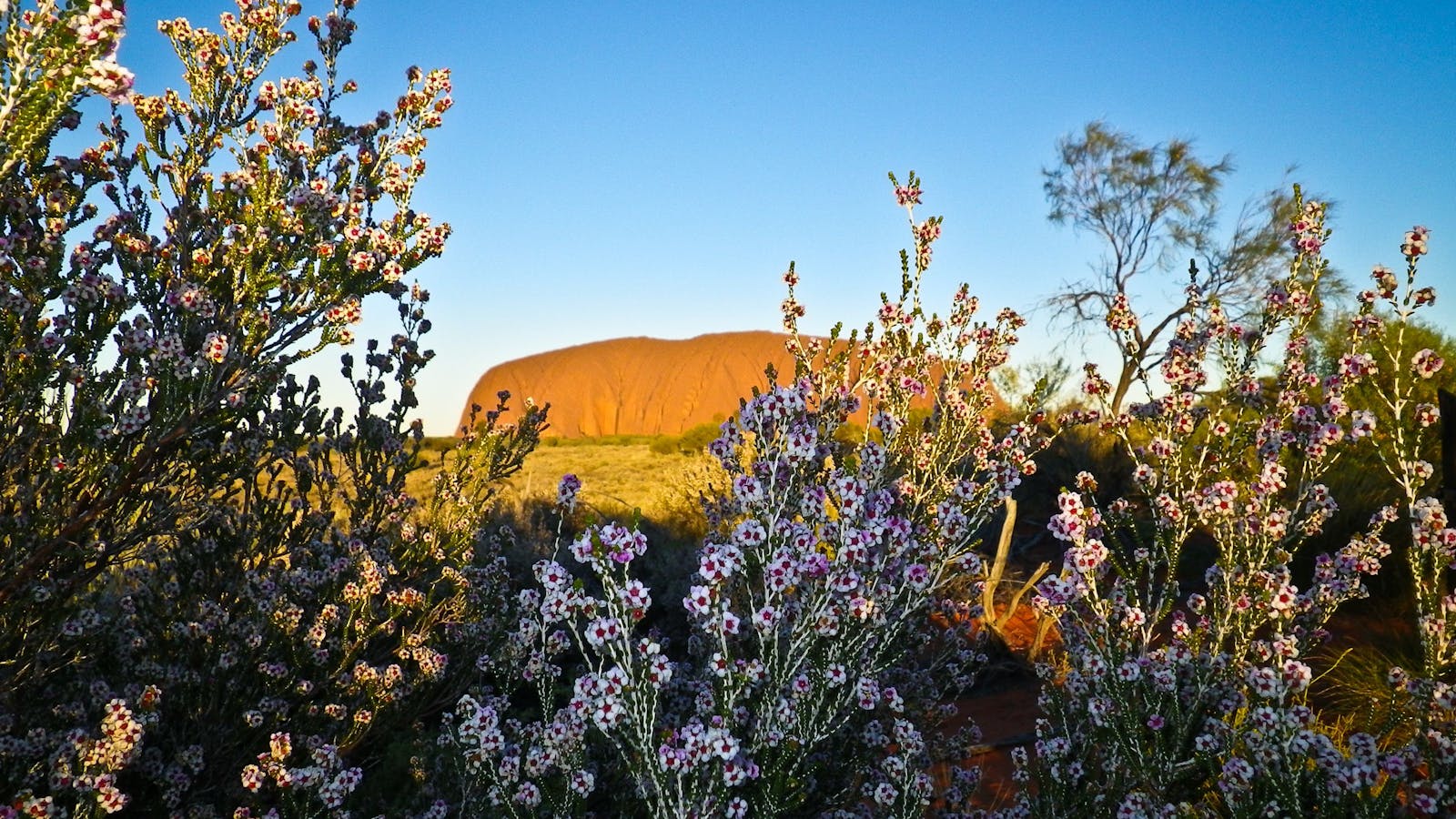 Auswalk Walking Holidays