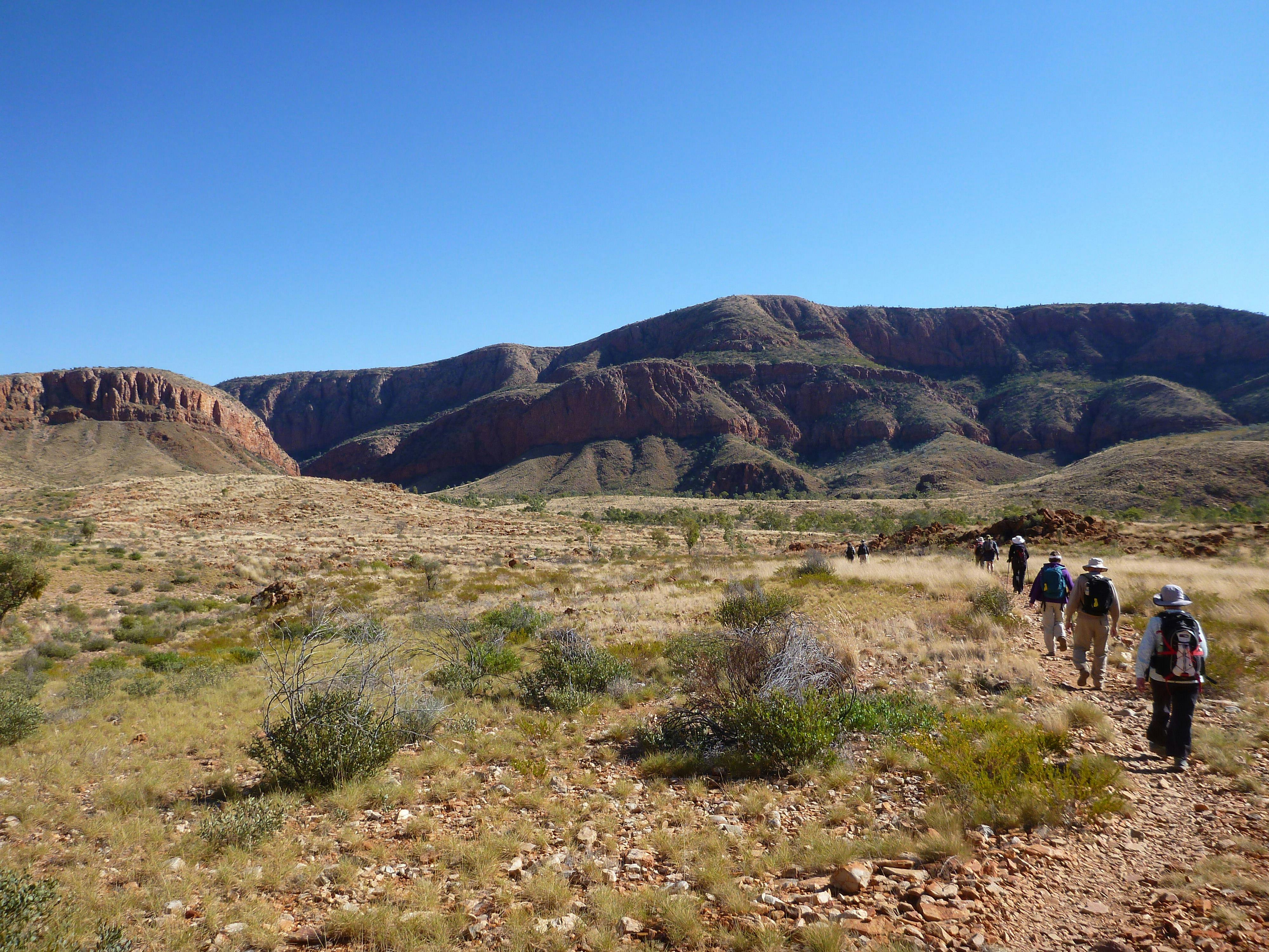 Red Centre - Uluru, Kata Tjuta, Kings Canyon and Larapinta - 6 Day - Group Guided