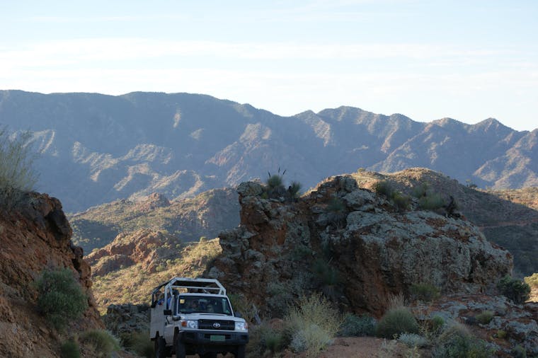 Arkaroola Wilderness Sanctuary Experiences