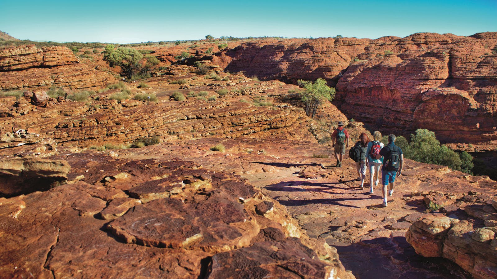 AAT Kings Day Tours (Red Centre)