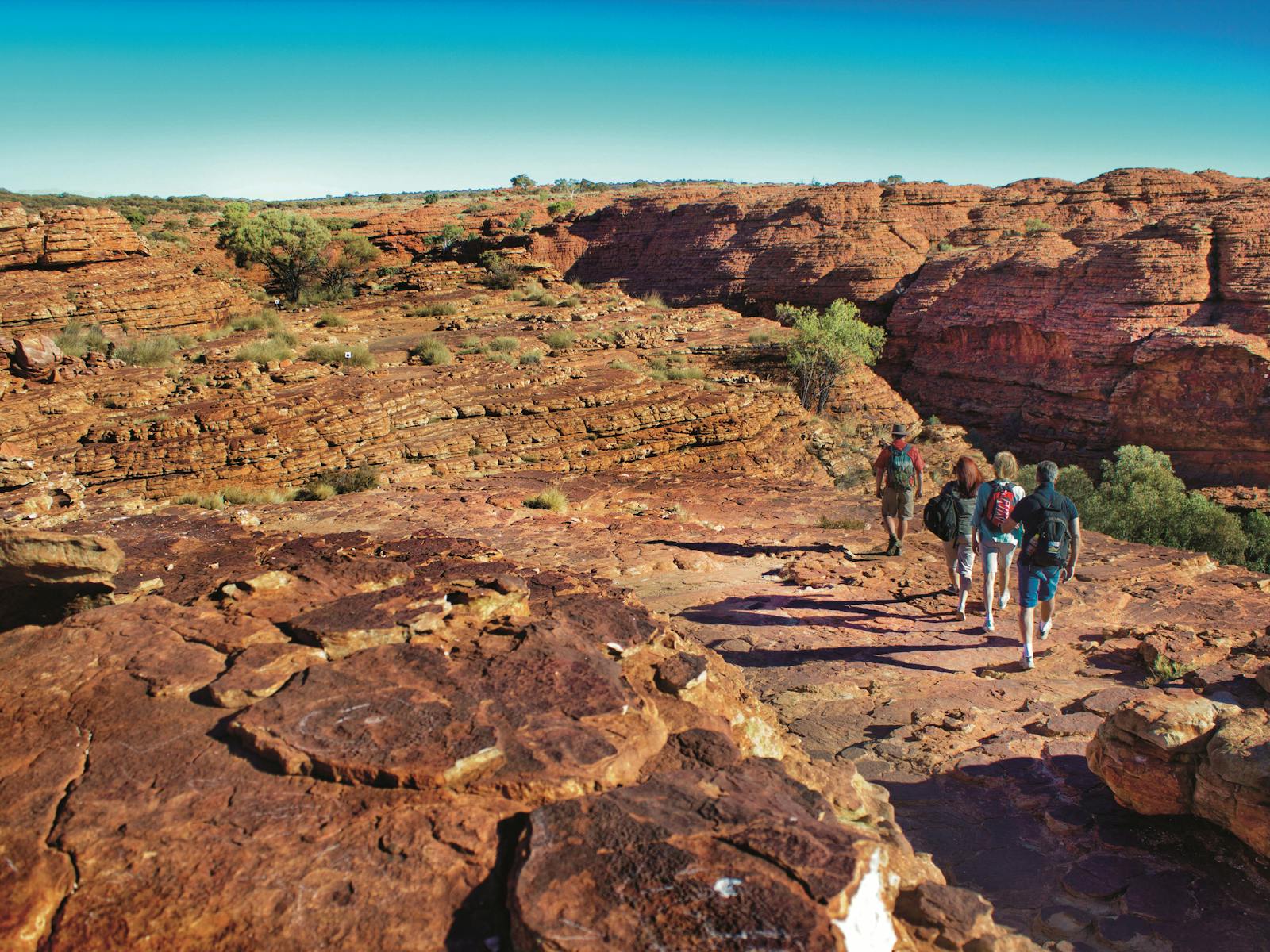 AAT Kings Day Tours (Red Centre)